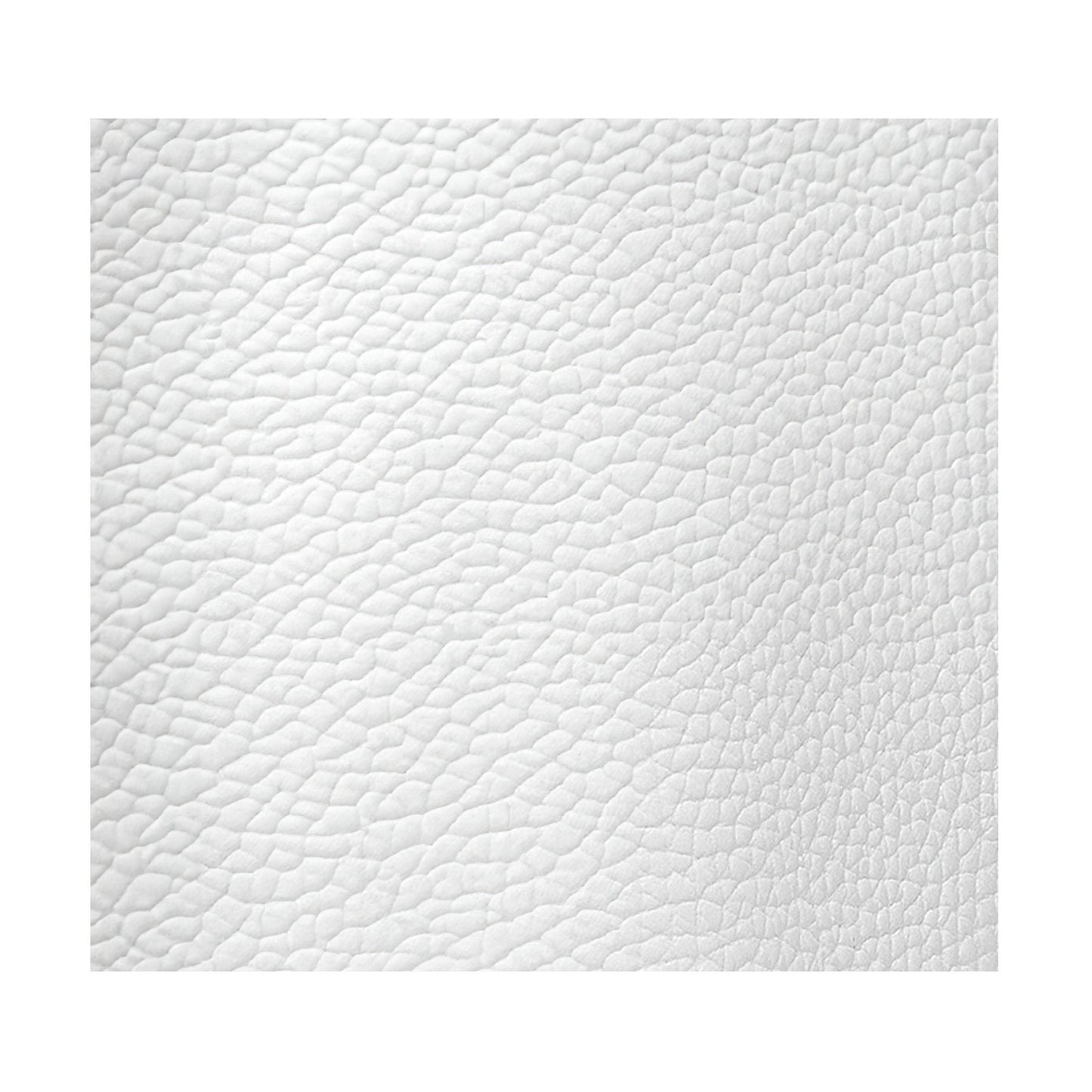 White Smooth Grained Leather